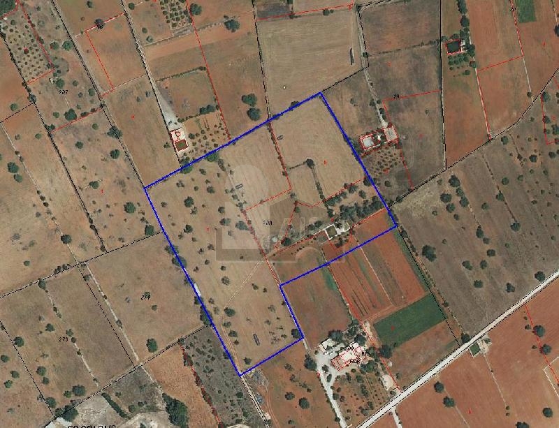 Rústico en campo / Santa Eulalia del Río (Baleares) VENTA 1905/768